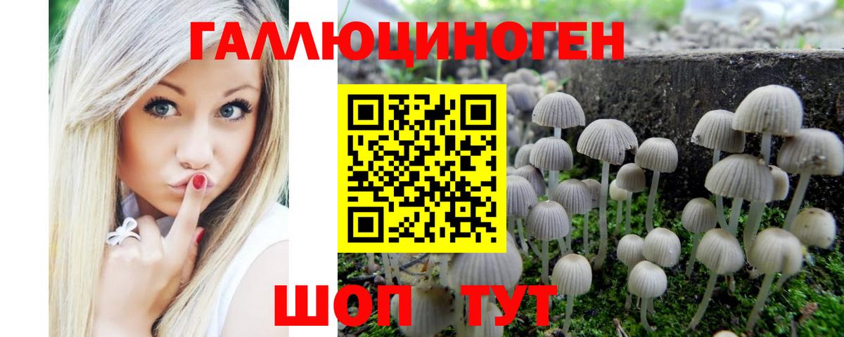 Галлюциногенные грибы Psilocybe Пенза